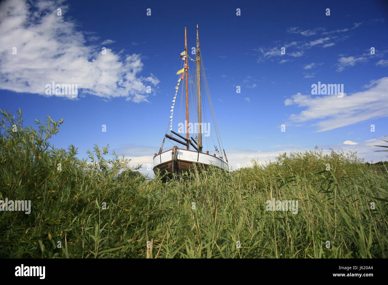 reed sailing ship sailing boat sailboat rowing boat boat watercraft ...