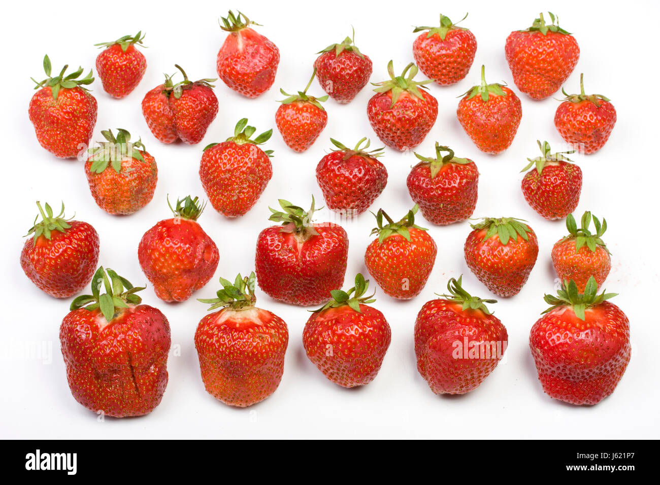 strawberries on white background Stock Photo