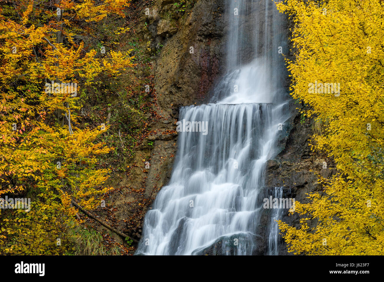 Colorfull fall foliage surrounding Mara waterfall in Maramures county ...