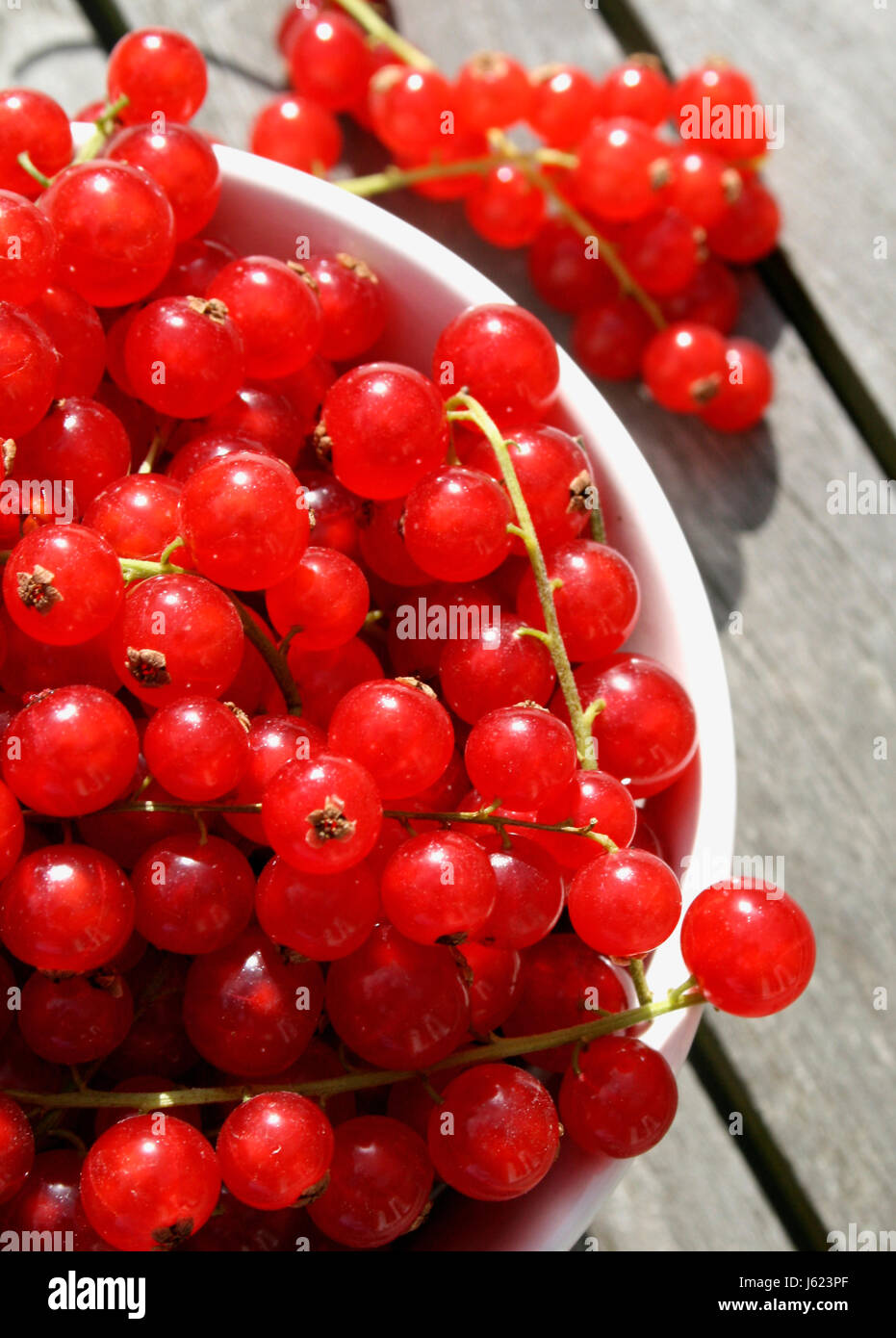 currants (7) Stock Photo