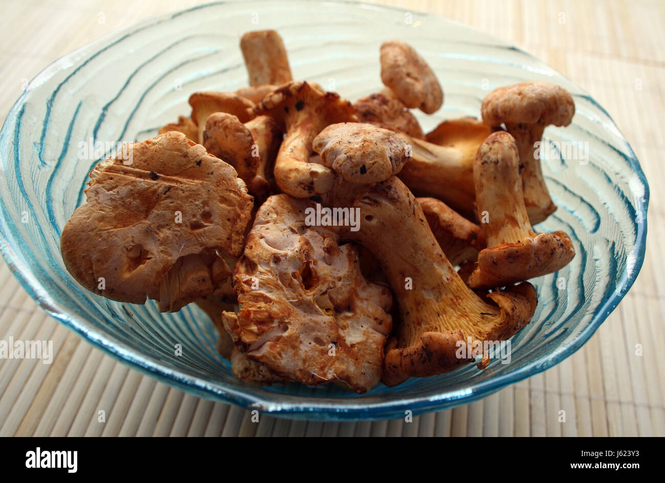 vitamins vitamines vegetable mushrooms mushroom fungus chanterelle