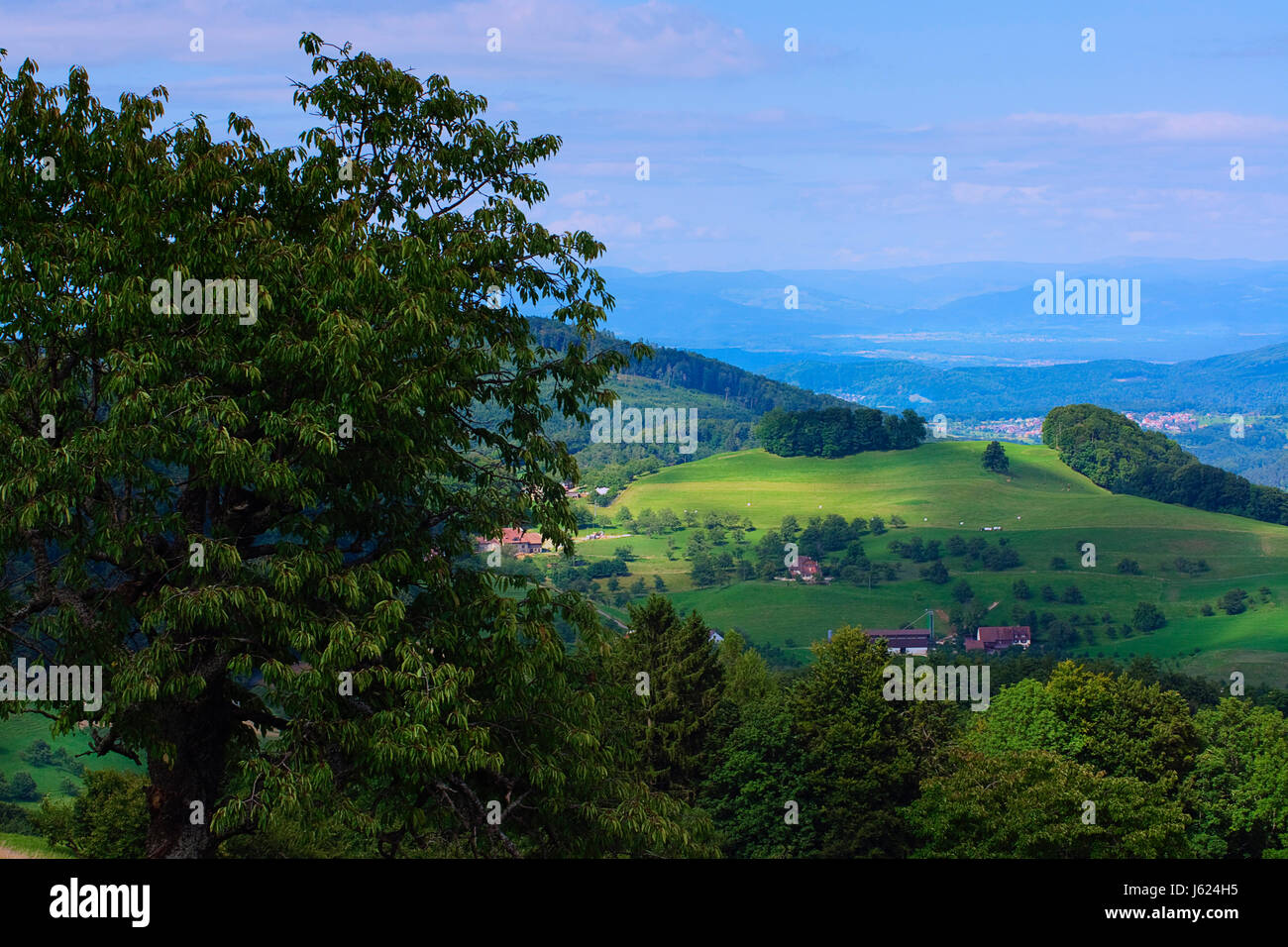 hill law hill mountains switzerland meadows browse baselbiet baselland lauwil Stock Photo
