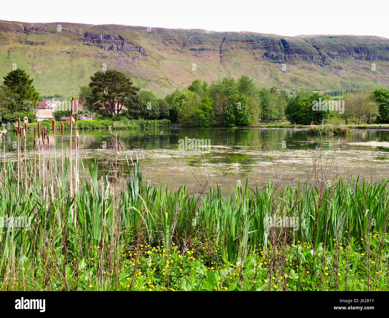Whitefield Pond, East Dunbartonshire. 19th May 2017. UK Weather