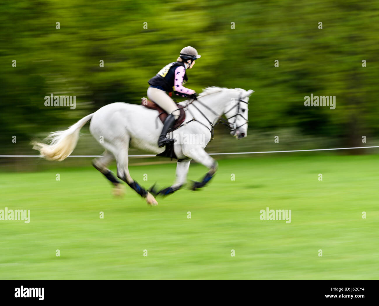 Rockingham Castle grounds, Corby, UK. 19th May, 2017. The horse 'Derrys Lady Lou' ridden by Lily Mawby gallops past a coppice during the cross country event in the grounds of the Norman Rockingham Castle, Corby, England, on Thursday 19th May 2017. Credit: miscellany/Alamy Live News Stock Photo