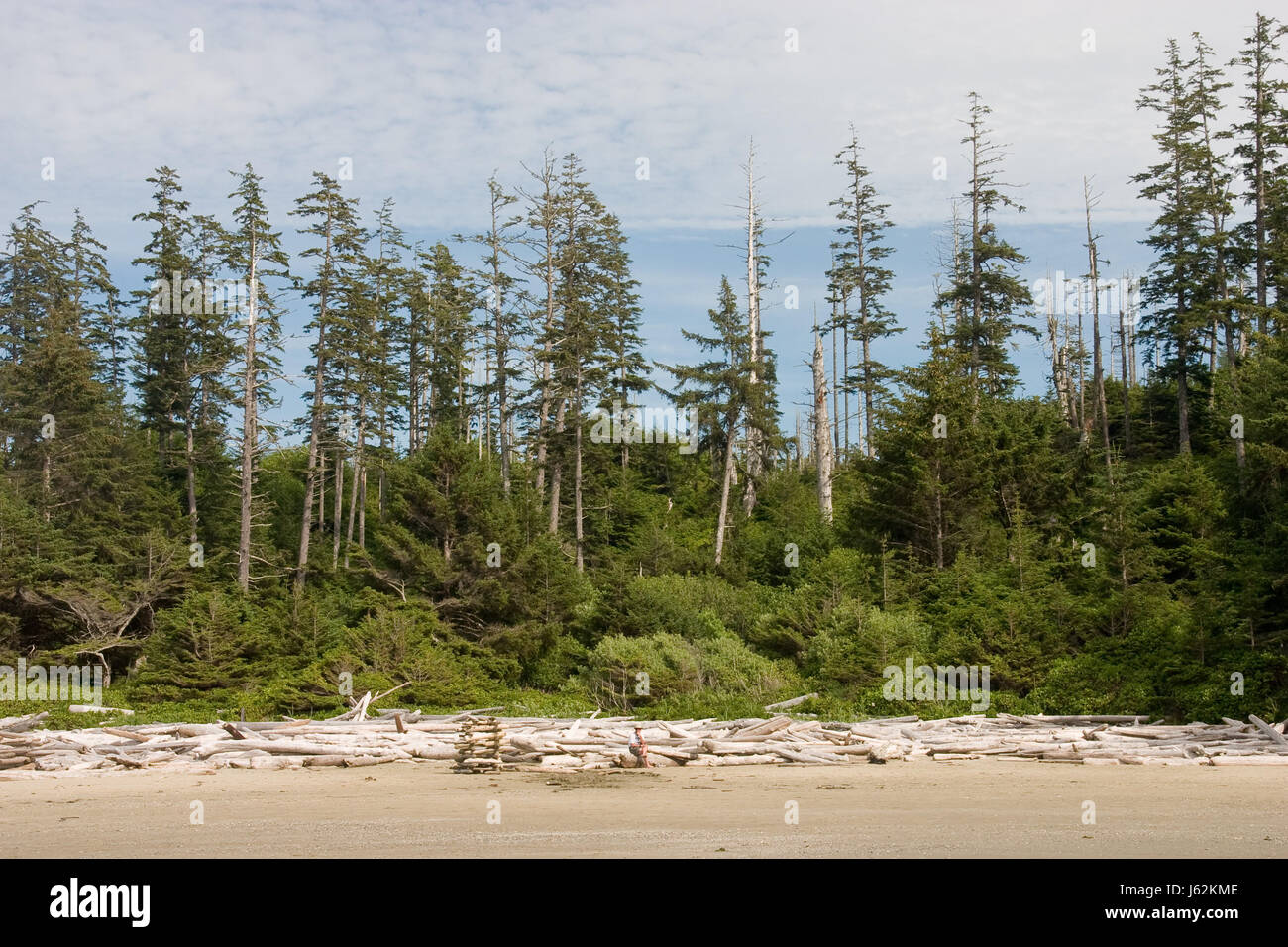 PACIFIC RIM BEACH SCENE visual data 4