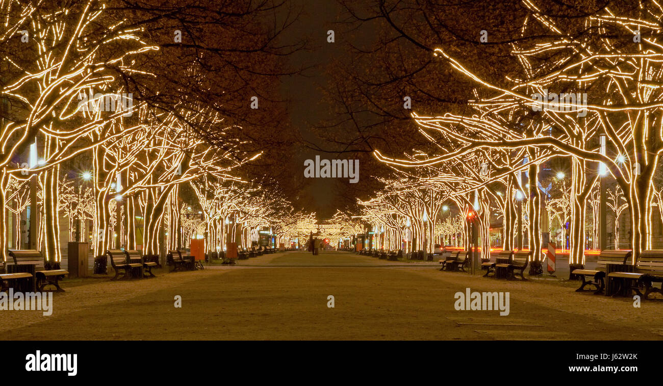 night nighttime lights advent berlin linden tree under christmas xmas x ...