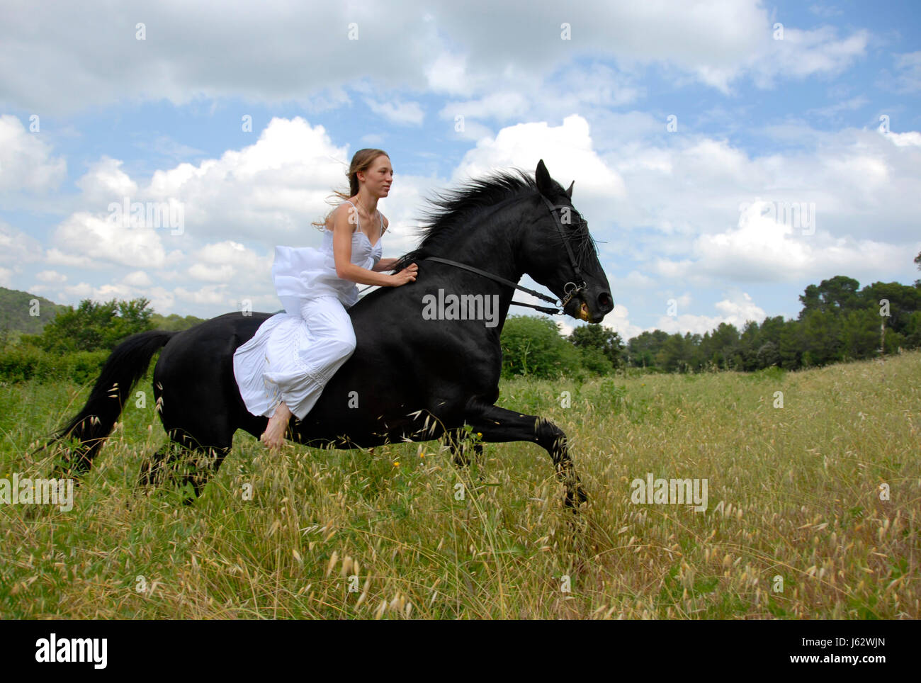 woman horse wedding marriage marriage ceremony wedding ceremony life Stock Photo