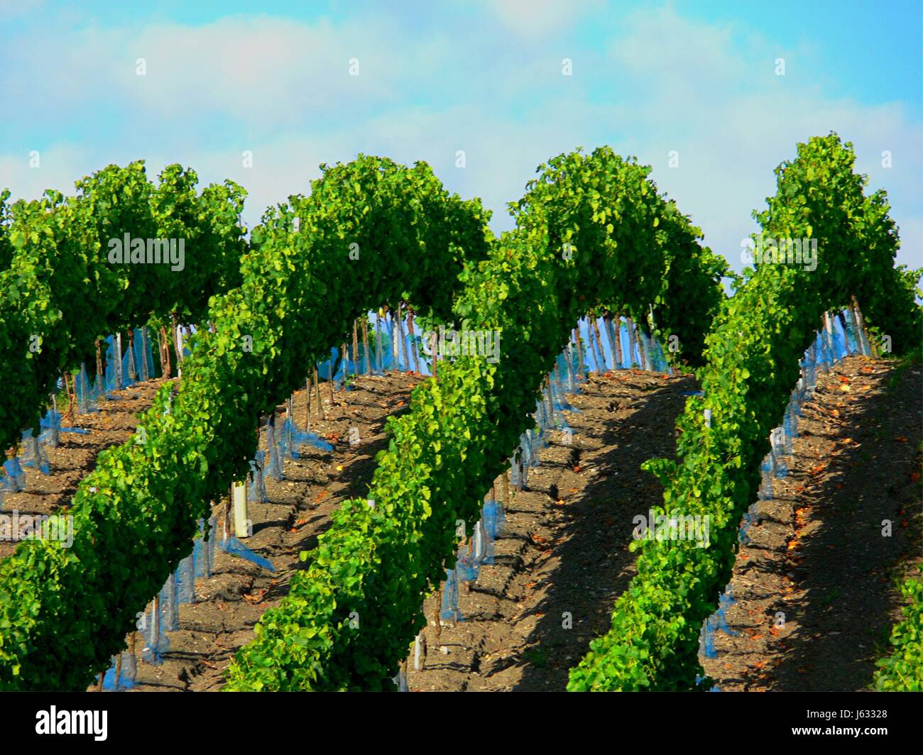 sloping Stock Photo