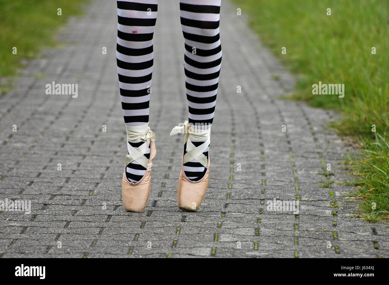 striated tights pantyhose satin ballerina girl girls stripes stripe flower rose Stock Photo