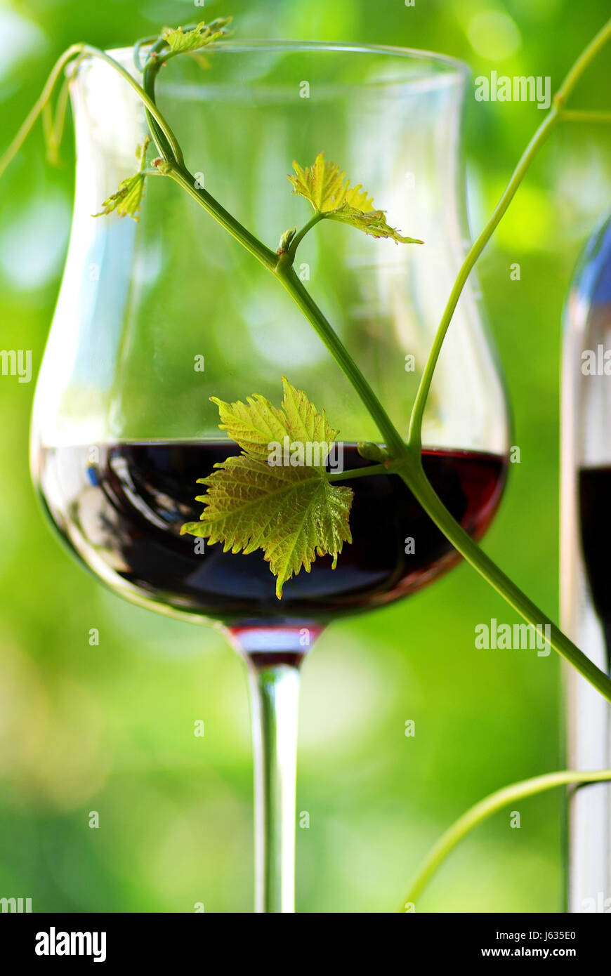 https://c8.alamy.com/comp/J635E0/glass-chalice-tumbler-leaf-wine-alcohol-beverage-winery-cafe-cup-glass-J635E0.jpg