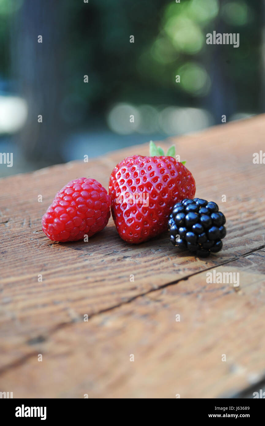 strawberry berries raspberry blackberry food aliment green wood black swarthy Stock Photo