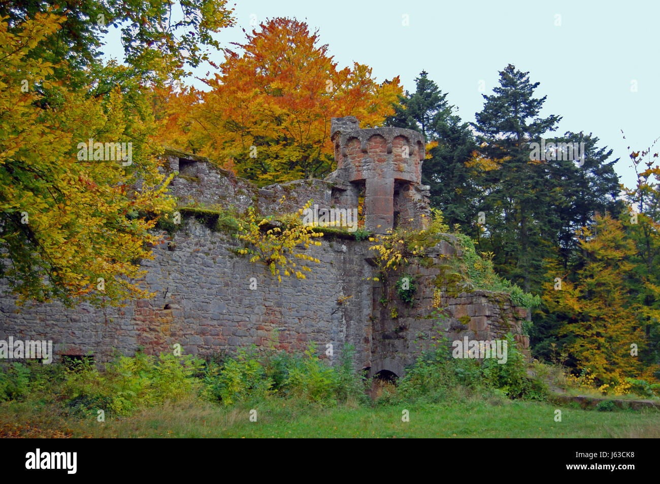 monument ruin sandstone chateau castle fall autumn monument bavaria ...
