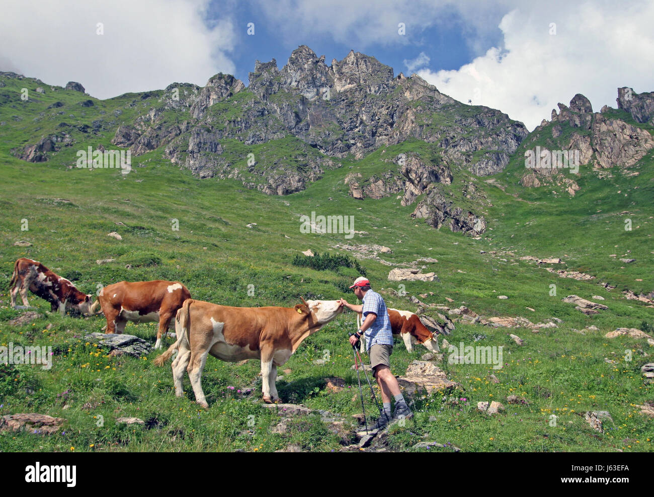 mountains hike go hiking ramble alp rise climb climbing ascend uphill ...