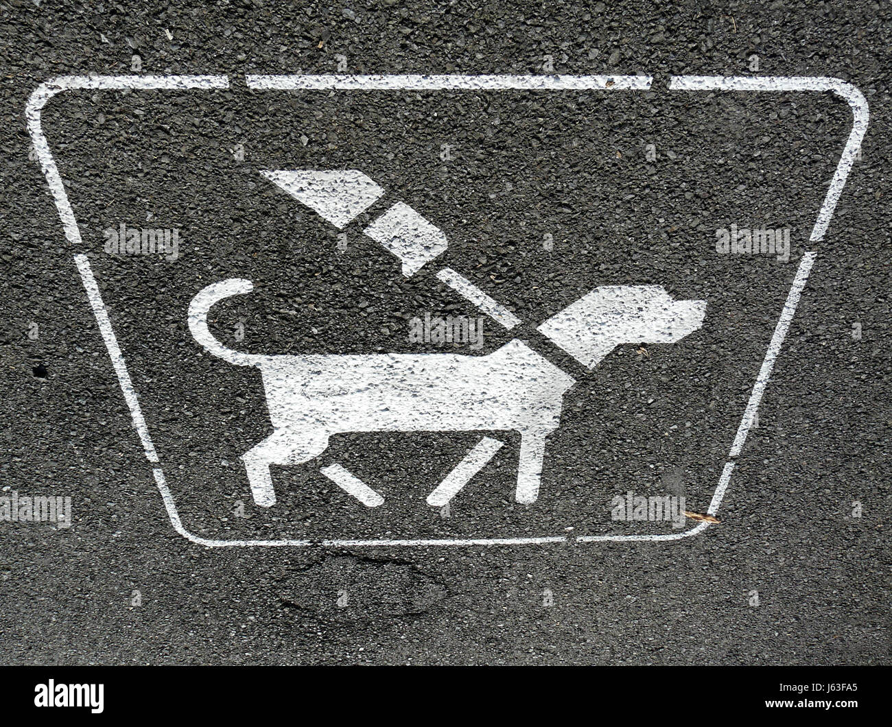 sign signal dog asphalt leash sign signal dog asphalt paint promenade leash Stock Photo