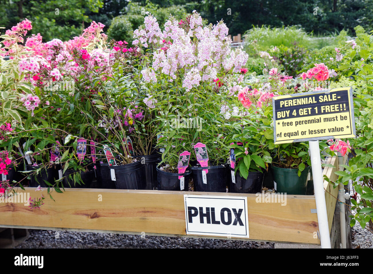 Indiana Chesterton,Chesterton Feed and Garden Center,centre,plant