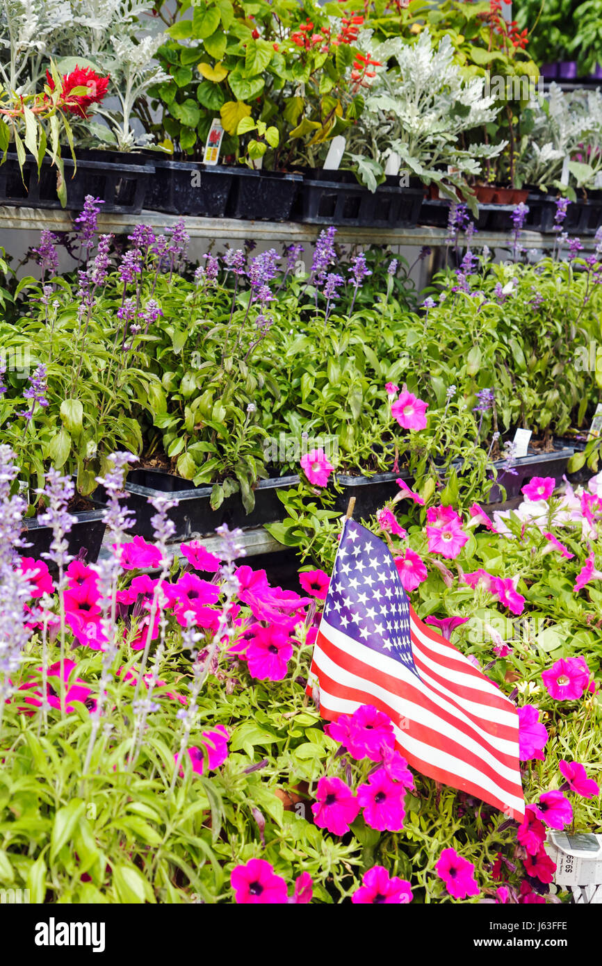 Indiana Chesterton,Chesterton Feed and Garden Center,centre,plant
