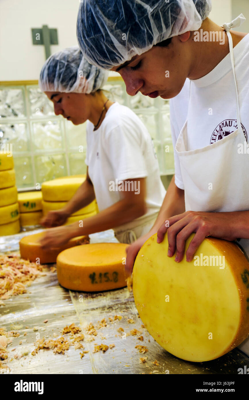 Michigan Traverse City,Leelanau Peninsula,Black Star Farms,Leelanau Cheese Company,creamery,make cheese,craft,skill,wheels,Raclette,dairy,teen,teens,m Stock Photo