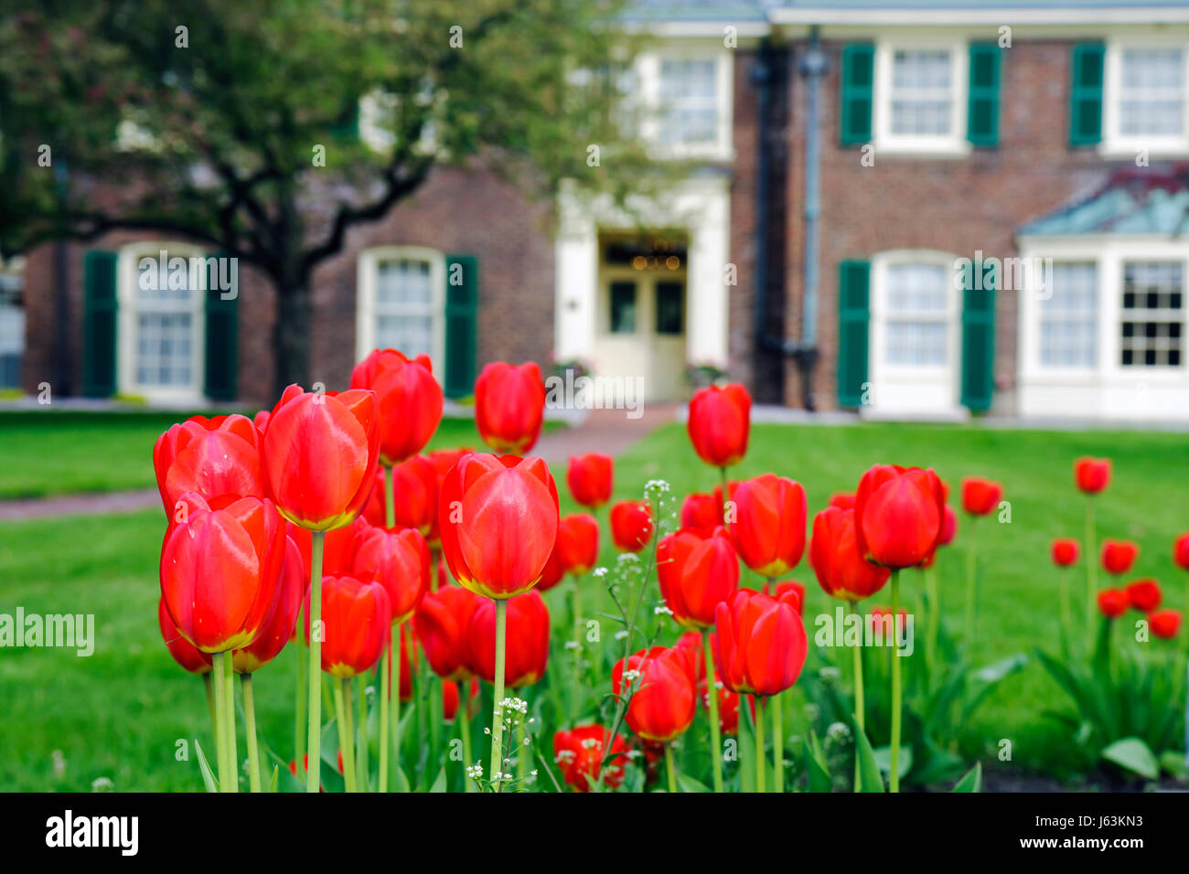 Michigan,MI,Mich,Upper Midwest,Saginaw County,Saginaw,Montague Inn,Bed and Breakfast,historic Inn,Lake Linton,Saginaw River water,early spring,garden, Stock Photo
