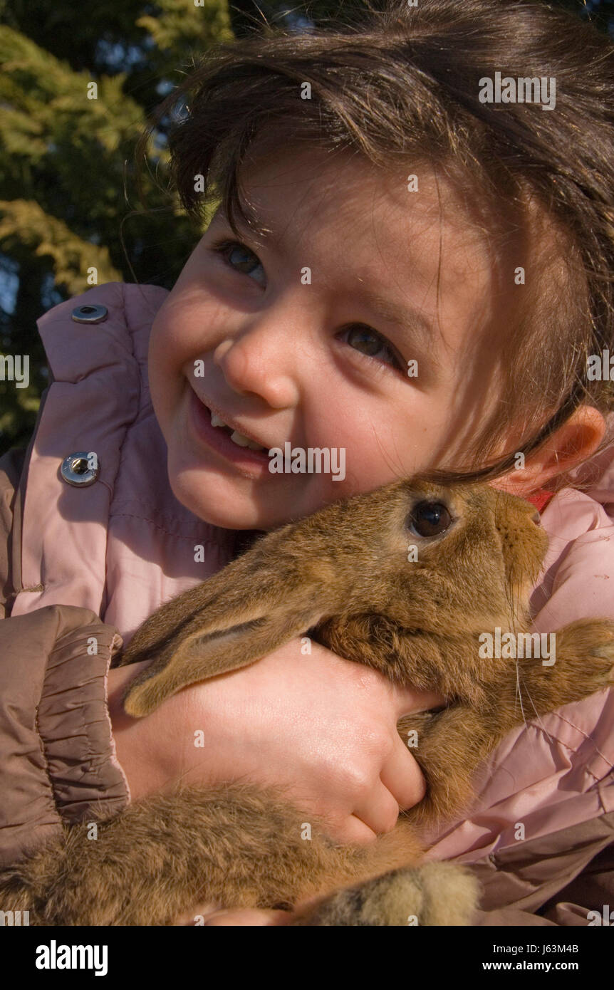 friendship pet rabbit bunny bunnies maddening pert coquettish cute child friend Stock Photo