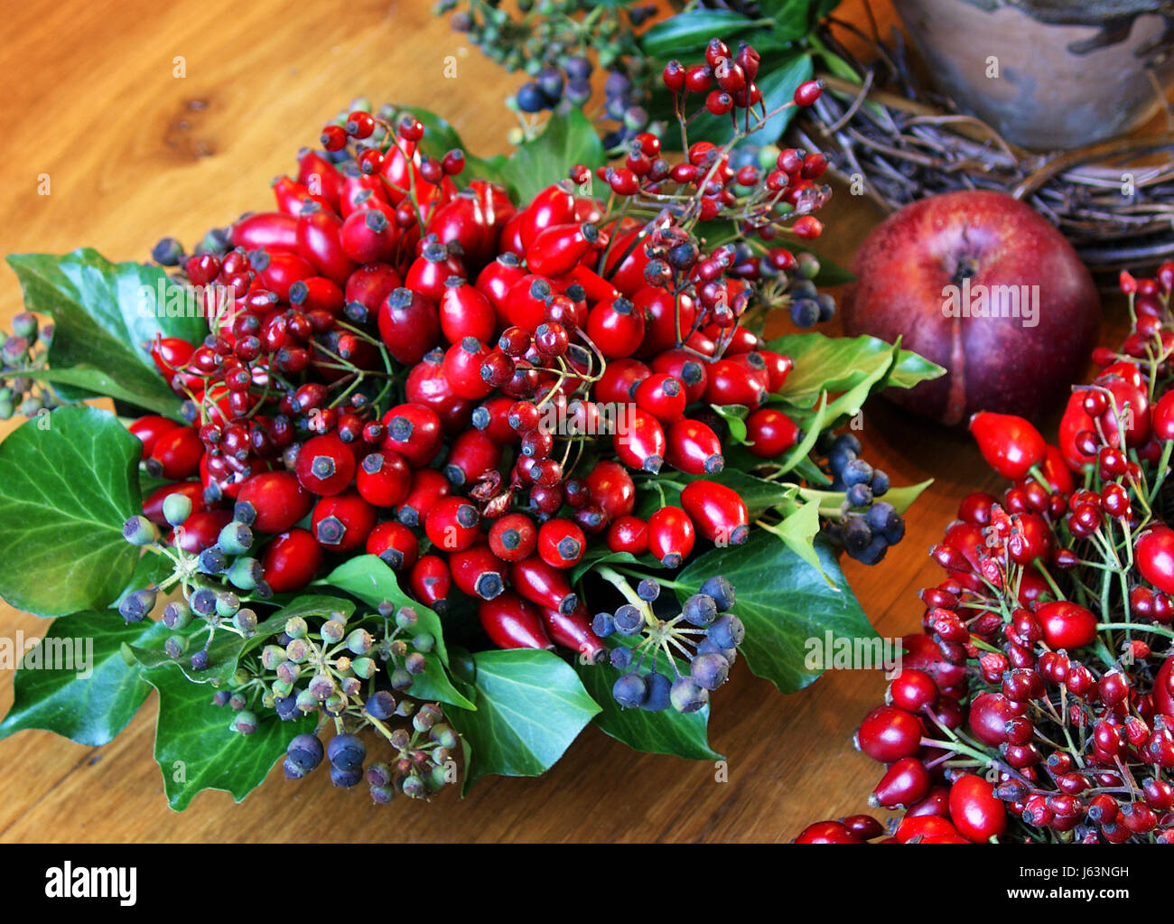 still life haw ivy flower arrangements progenies fruits fruit deco haws
