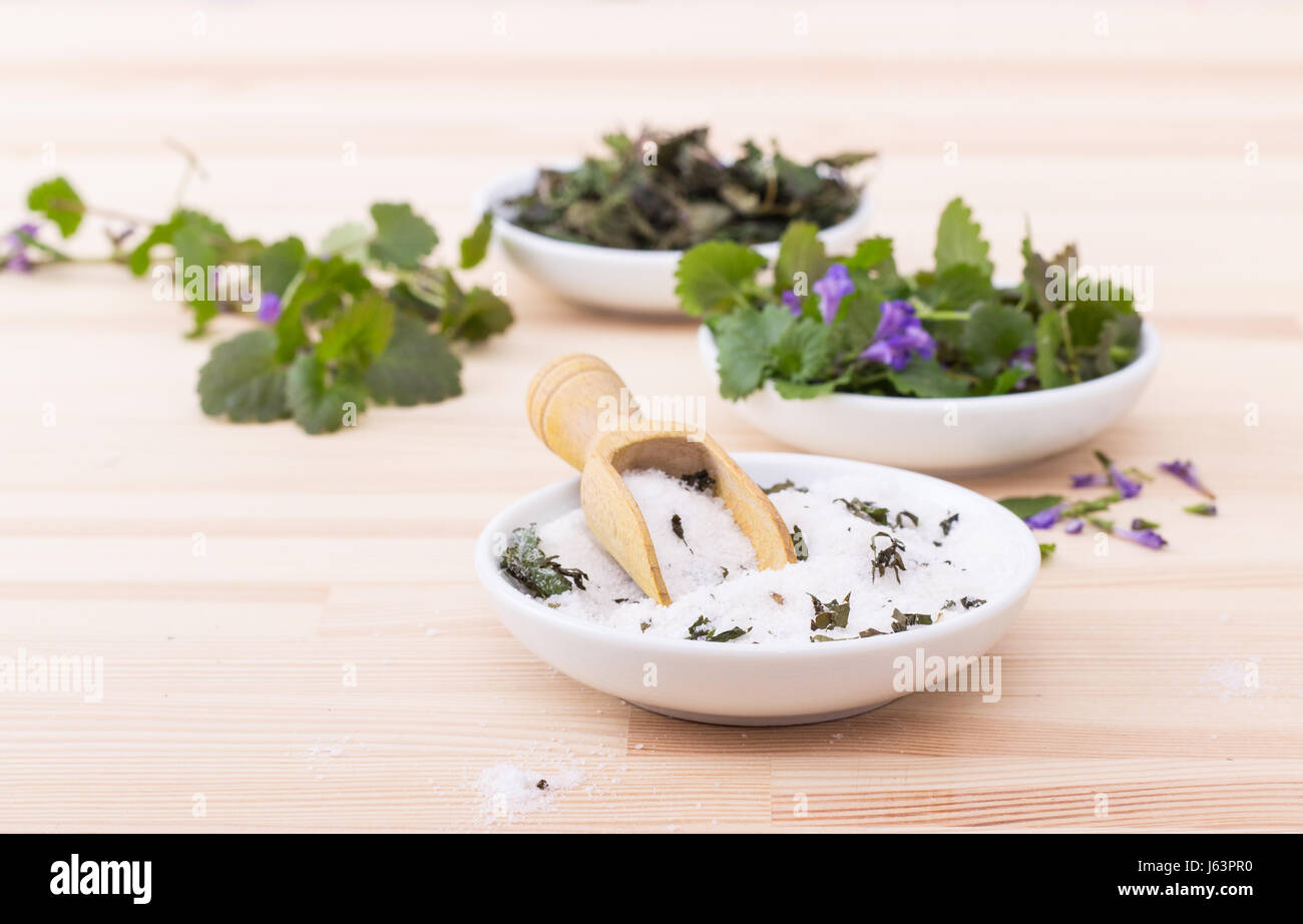 Porcelain bowls with herbal salt, fresh and dried ground ivy Stock Photo