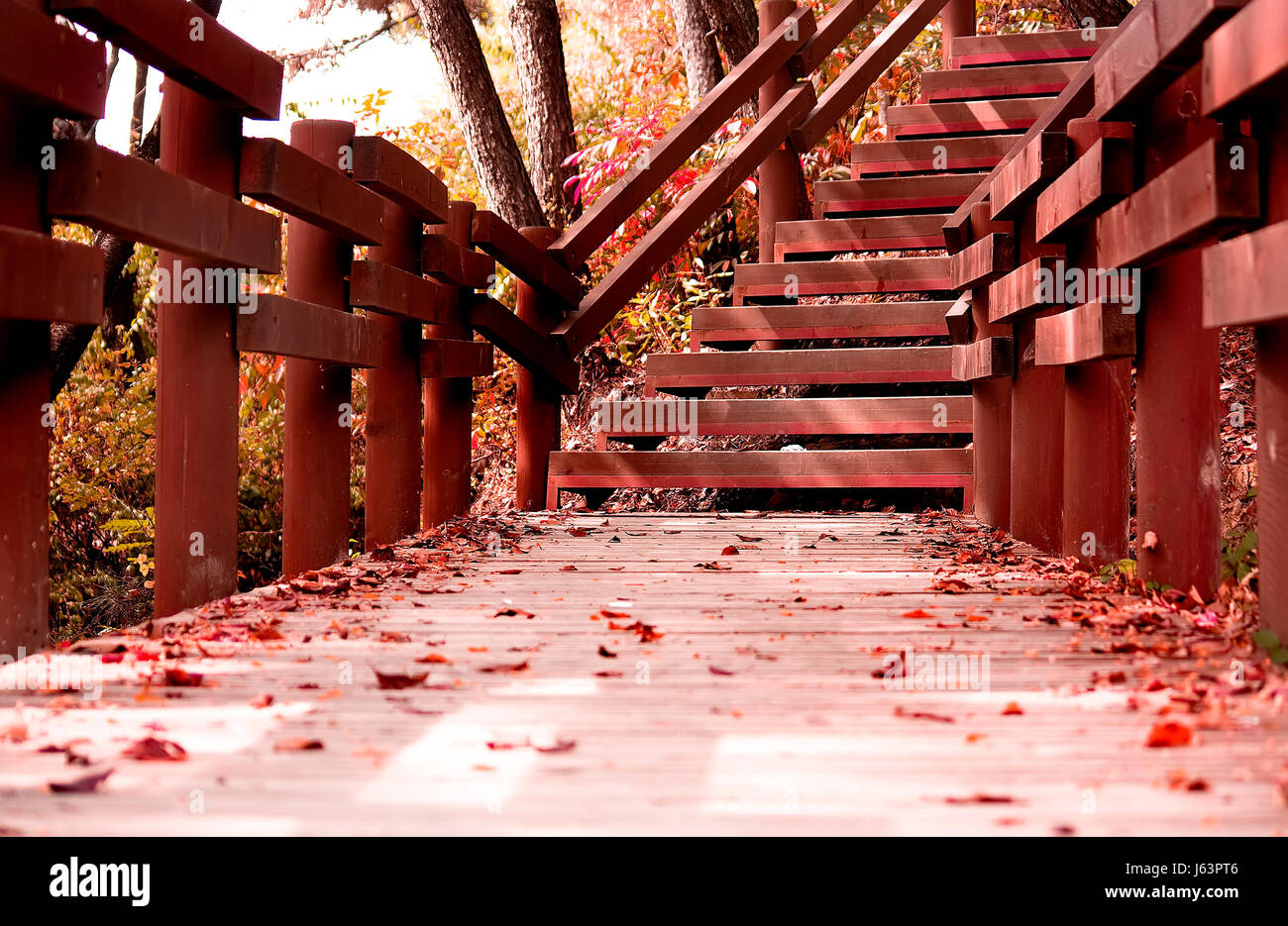 stairs park asia bridge korea fall autumn stairs park asia bridge korea ...