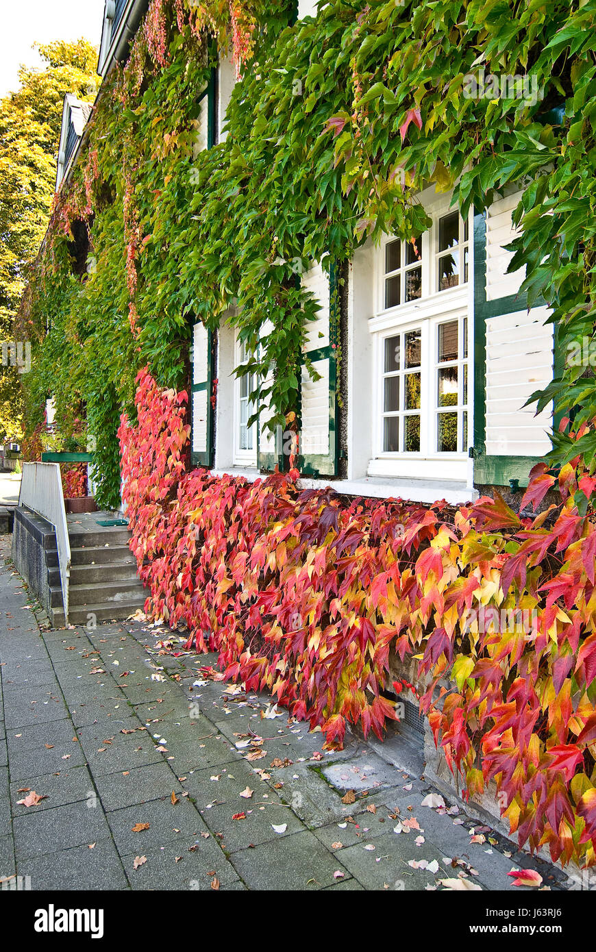 house building window porthole dormer window pane door tinted house