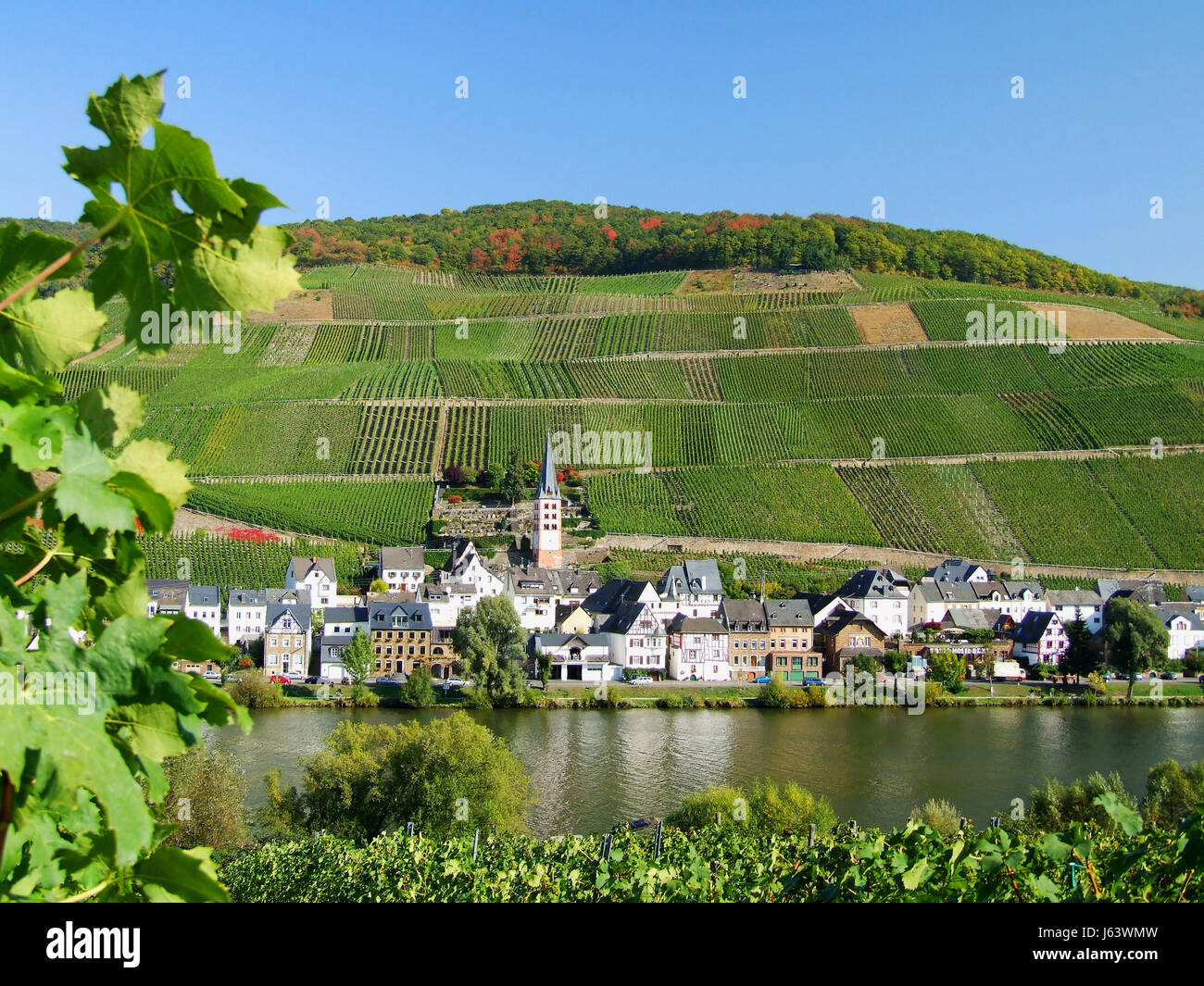 Zell merl mosel germany zell merl hires stock photography and images