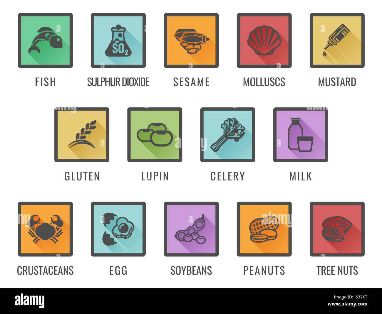 Food allergy icons including the 14 allergies outlined by the EU Food Information for Consumers Regulation EFSA European Food Safety Authority Annex I Stock Photo