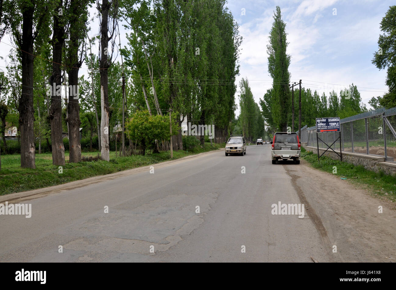 Kashmir Road, Chinar Tree Everywhere, Srinagar. (Photo Copyright © by Saji Maramon) Stock Photo