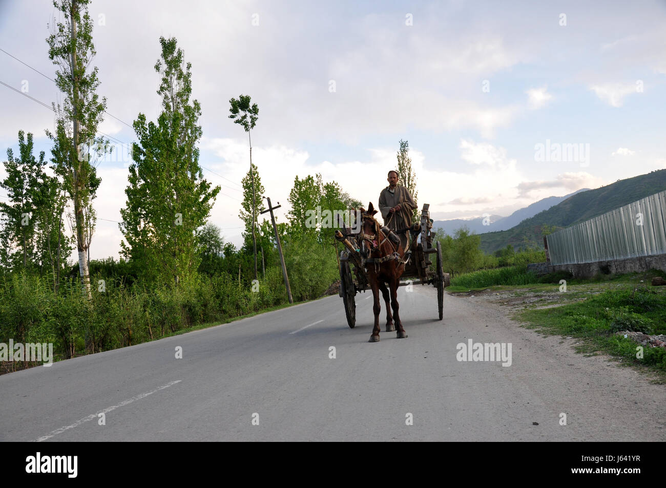 Horse With Tanga, Tanga Run, Tanga (carriage), Local Transport, Baramulla, Kashmir (Photo Copyright © by Saji Maramon) Stock Photo