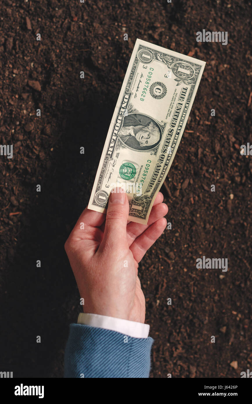 Bank loan for agricultural activity in USA dollar banknotes, businesswoman in elegant business suit with american currency cash money over fertile soi Stock Photo