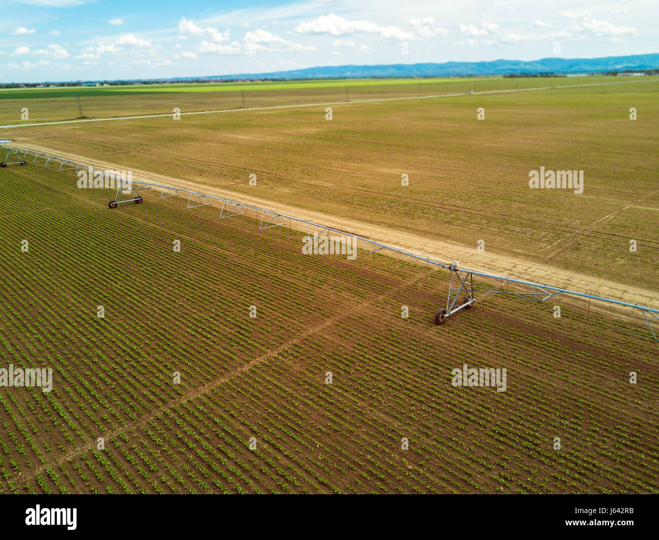 Agricultural irrigation system on cultivated sugar beet plantation viewed from drone point of view Stock Photo