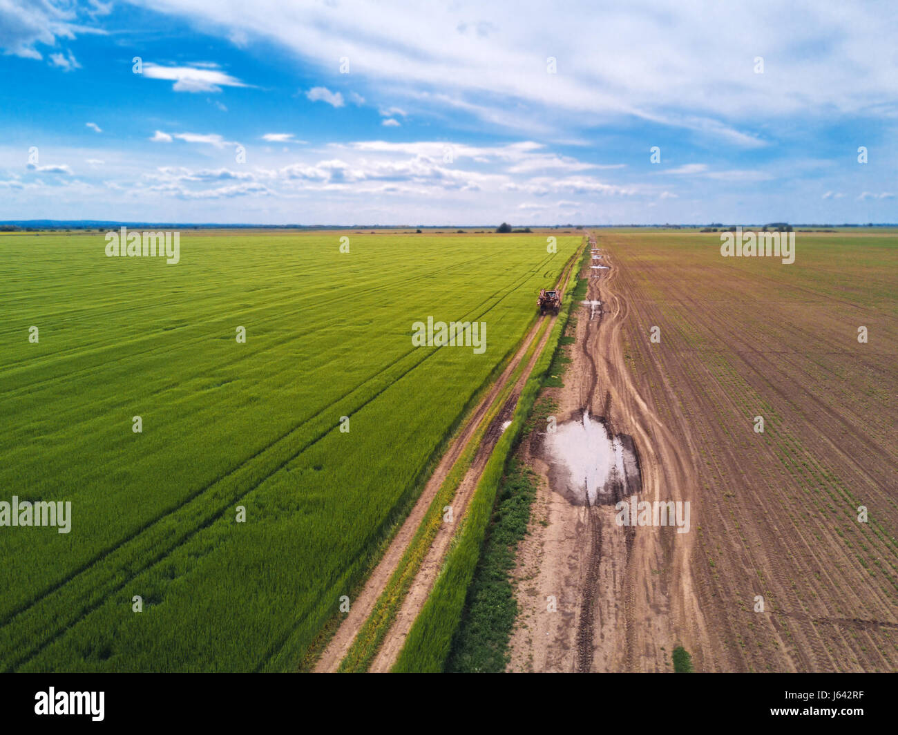 Tractor on country road through wheat field, aerial view from drone pov Stock Photo