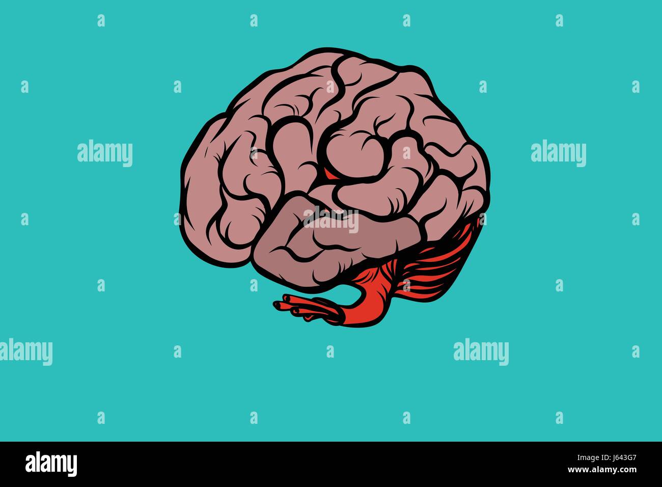 the human brain vector illustration. Comic book cartoon pop art retro