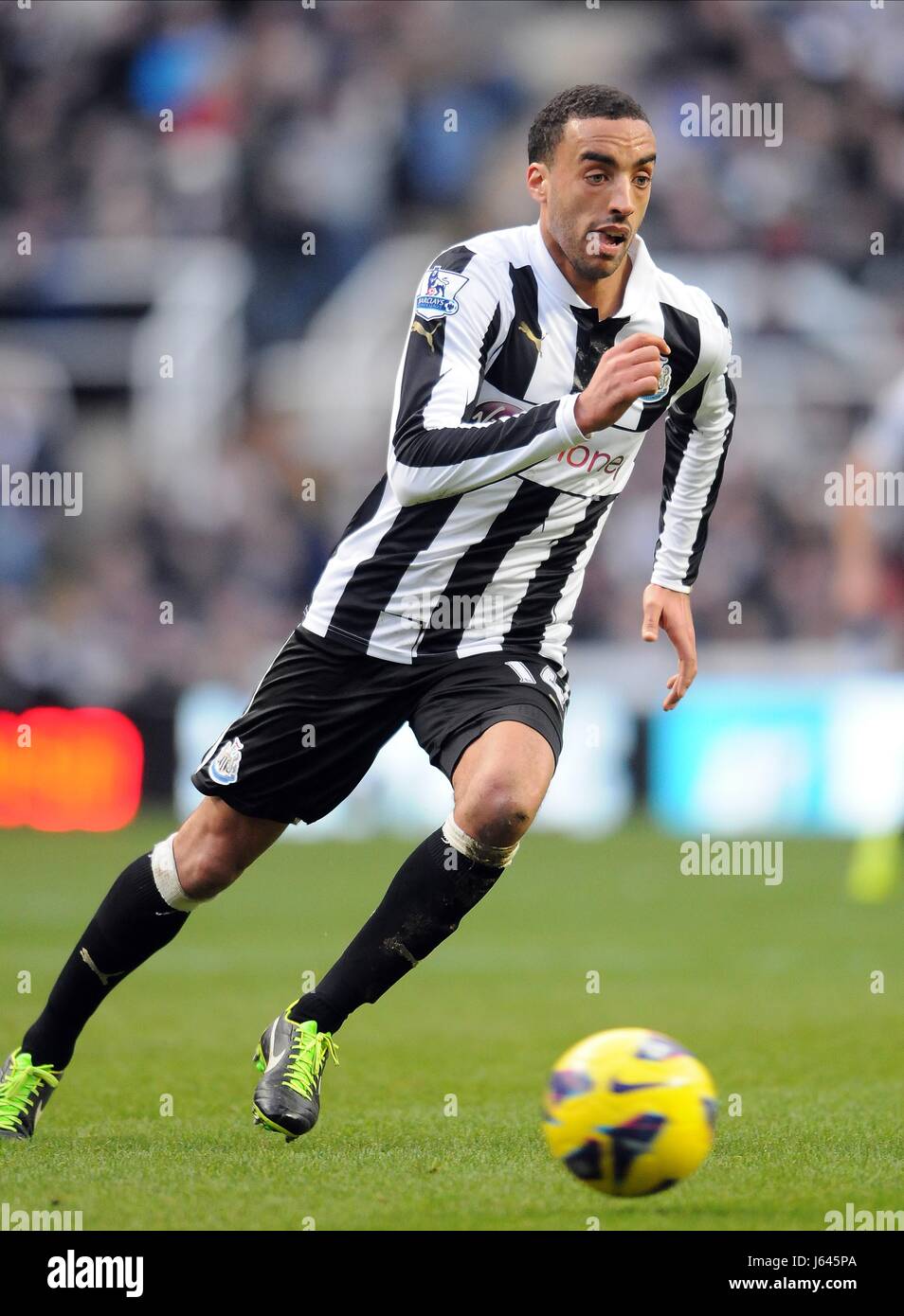 JAMES PERCH NEWCASTLE UNITED FC NEWCASTLE UNITED FC ST JAMES PARK NEWCASTLE  ENGLAND 02 February 2013 Stock Photo - Alamy