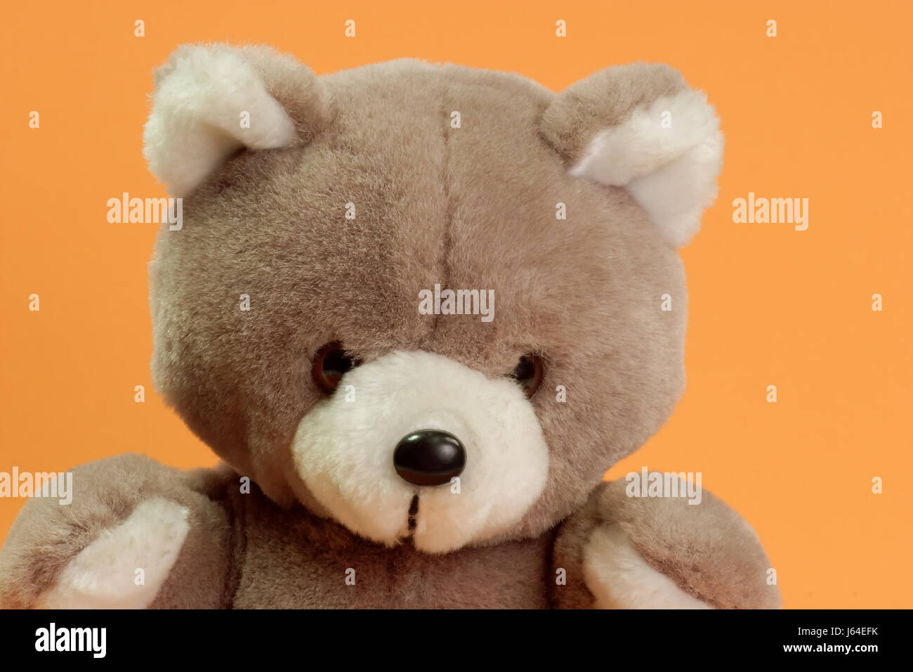 Toys cuddly toy teddy bear hi-res stock photography and images - Alamy