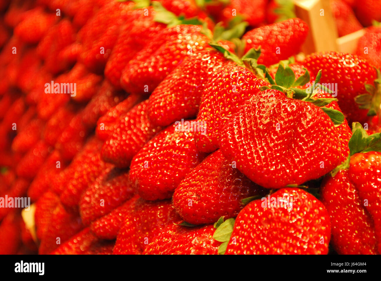 progenies fruits fruit strawberry healthy progenies fruits fruit strawberry Stock Photo