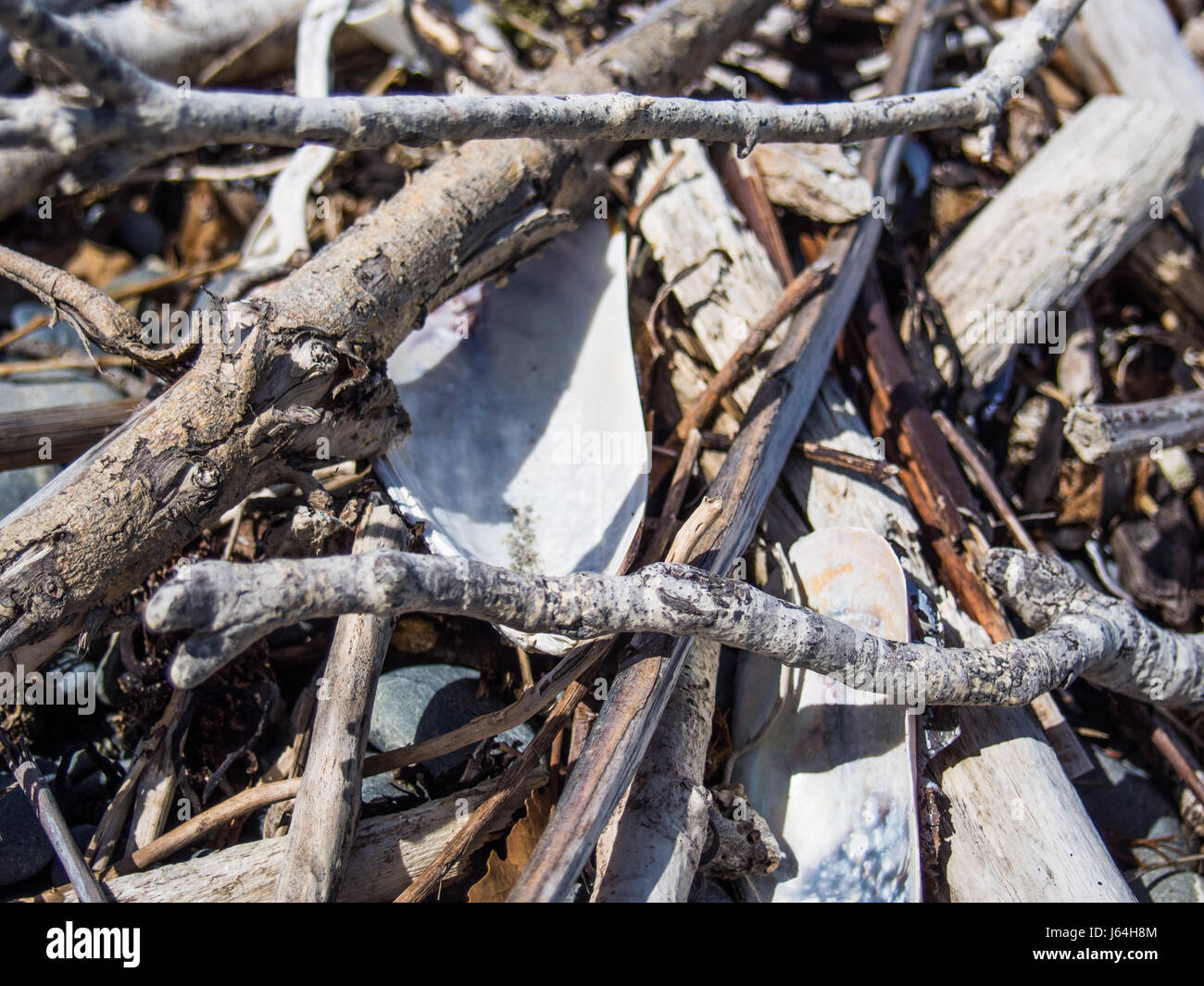 Pile Of Sticks All Together Stock Photo
