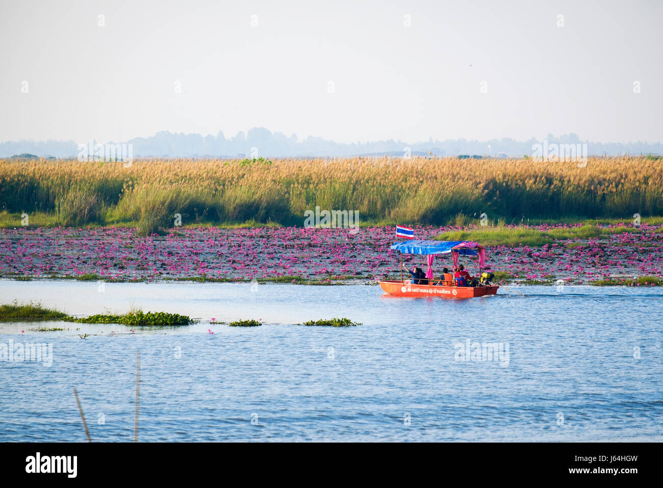 Red boat in the lake known as 'Red Lotus Sea' (Talay Bua Daeng), Kumphawapi, Udon Thani province, Thailand. Stock Photo