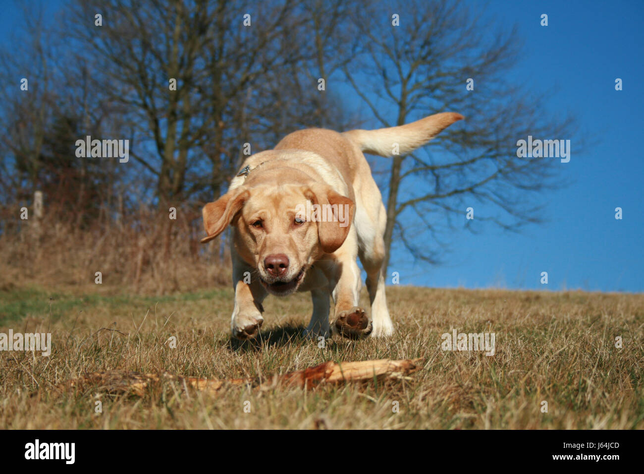 game tournament play playing plays played action attack retrieve ...