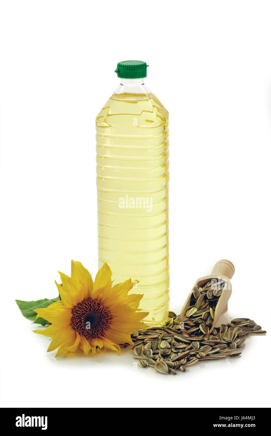 flower sunflower plant vegetable oil edible oil salad oil oil oils food aliment Stock Photo