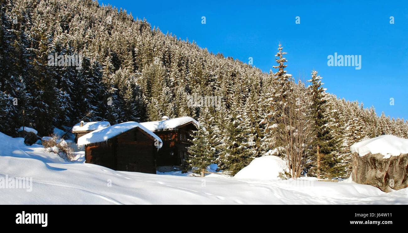 Winter Switzerland Mountain Shelter Forest Tree Holiday Vacation