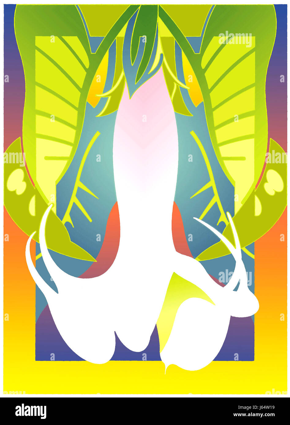 White flower hanging upside down Stock Photo Alamy