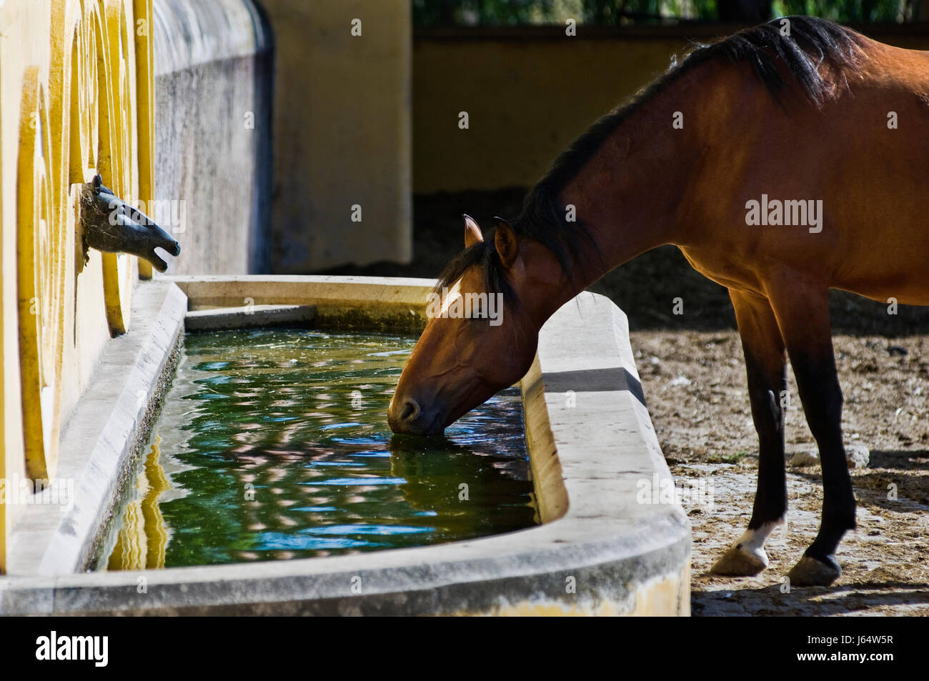 Drinking fountain and sculpture hires stock photography and images Alamy