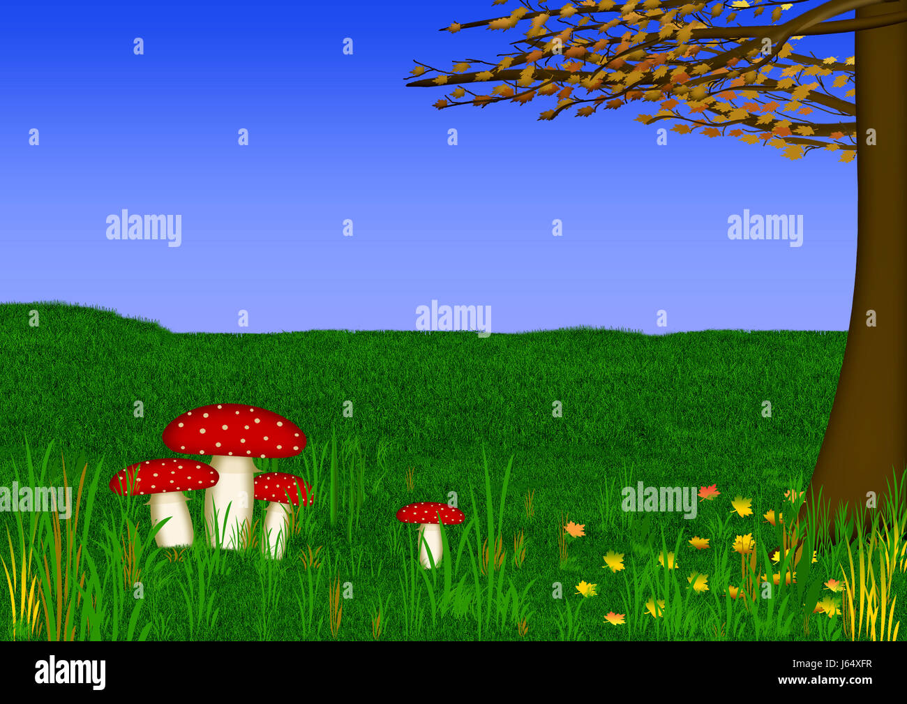 Fairy Tale Toadstool High Resolution Stock Photography And Images Alamy