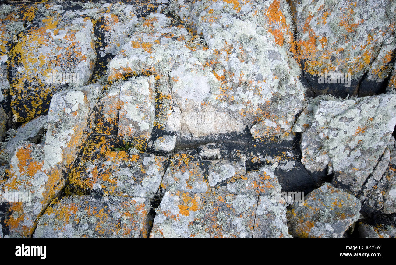 stone rock moss granite braid grey gray stones aerial perspective macro Stock Photo