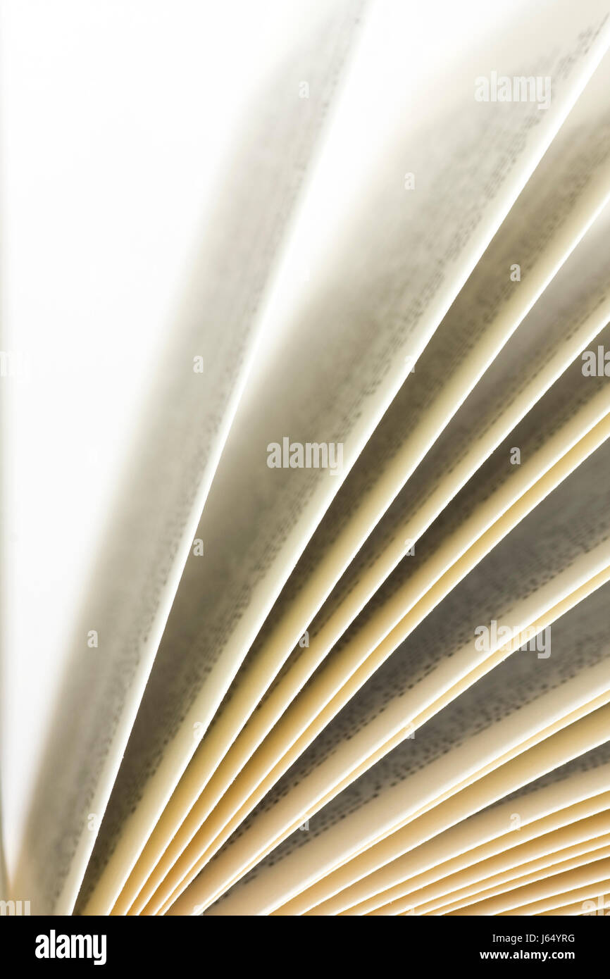 education sheet of paper paper book pages sides literature study