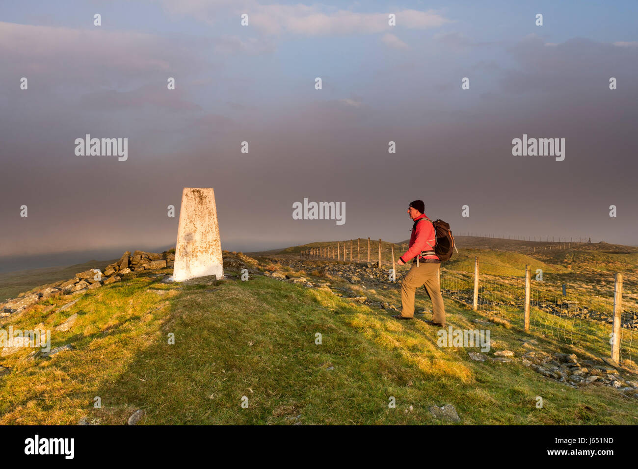 Hill Walker Walking Towards the Summit Trig of Great Stony Hill at Sunrise, Upper Teesdale, County Durham, UK Stock Photo