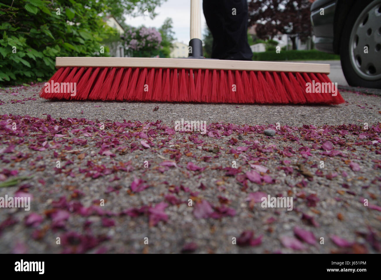 broom clean sweep cleaning cleansing bristles broom clean sweep street